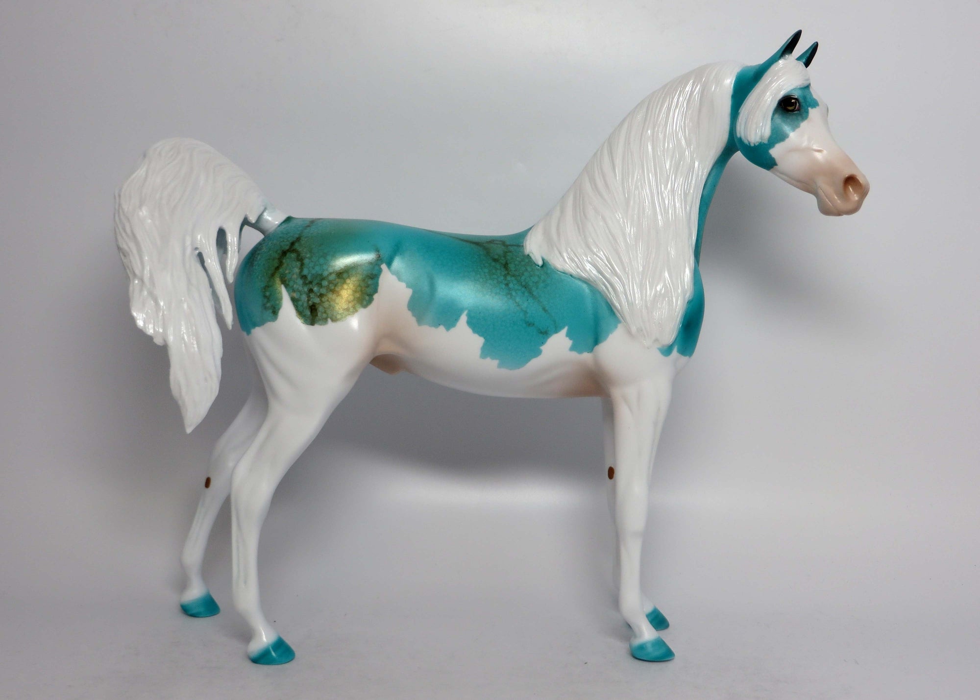 ARIZONA-LE-5 SPLASH TURQUIOSE ARABIAN EQ 2018