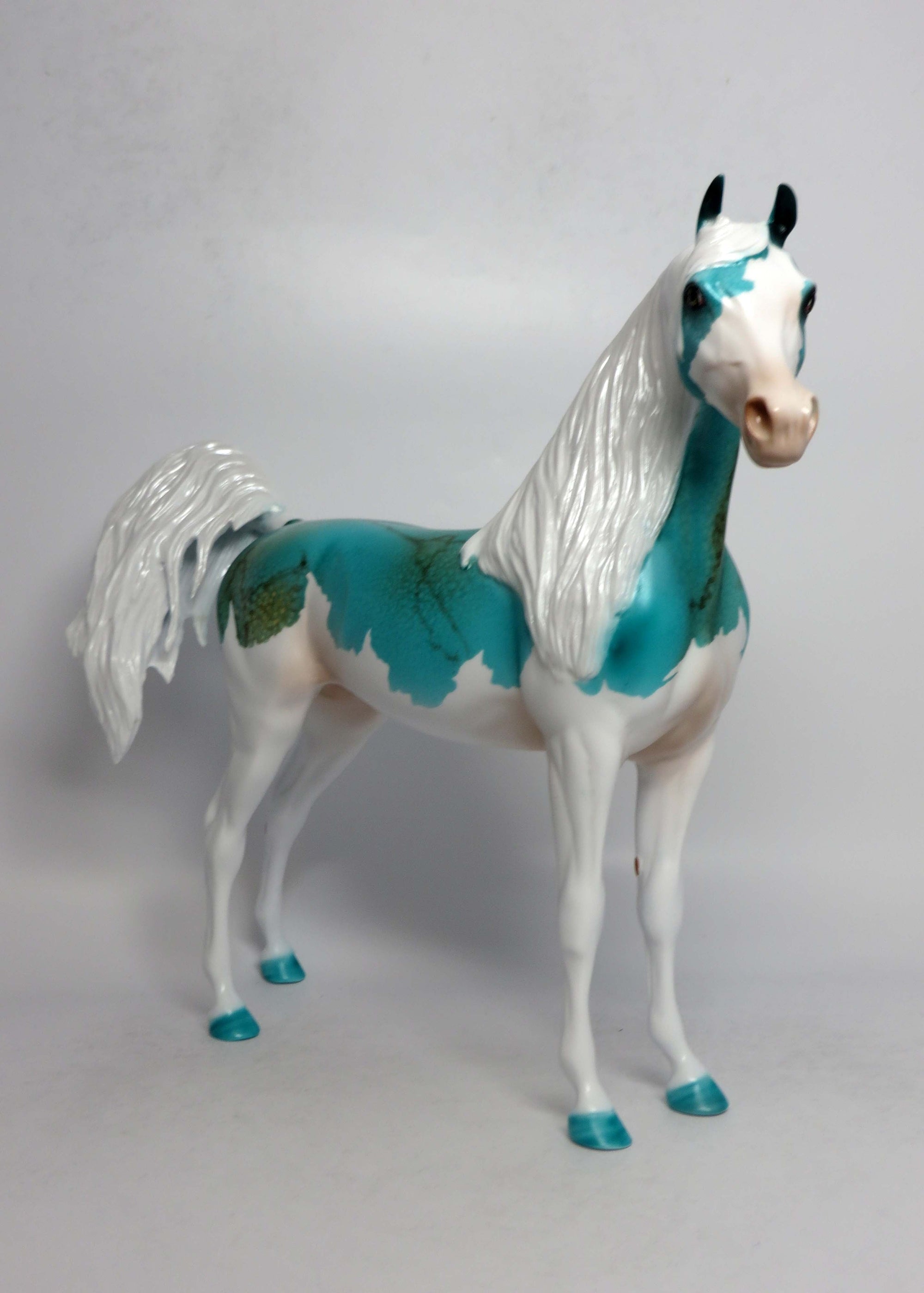 ARIZONA-LE-5 SPLASH TURQUIOSE ARABIAN EQ 2018