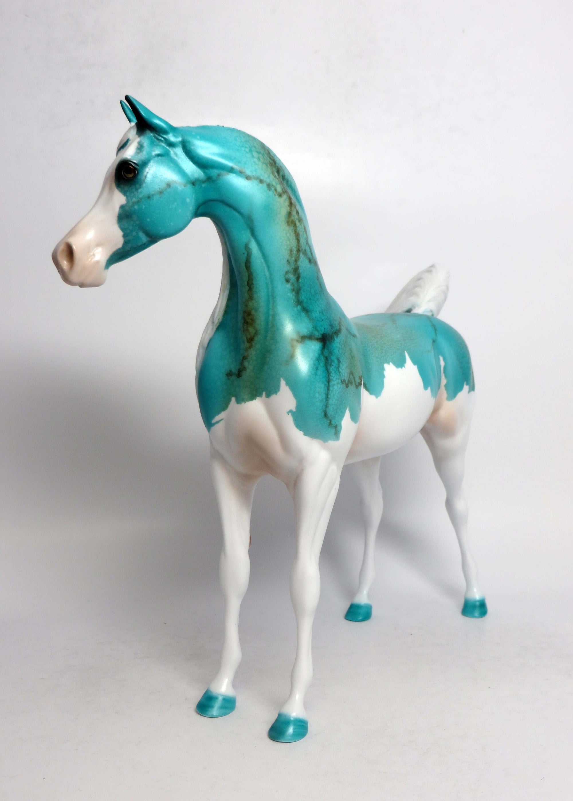 ARIZONA-LE-5 SPLASH TURQUIOSE ARABIAN EQ 2018