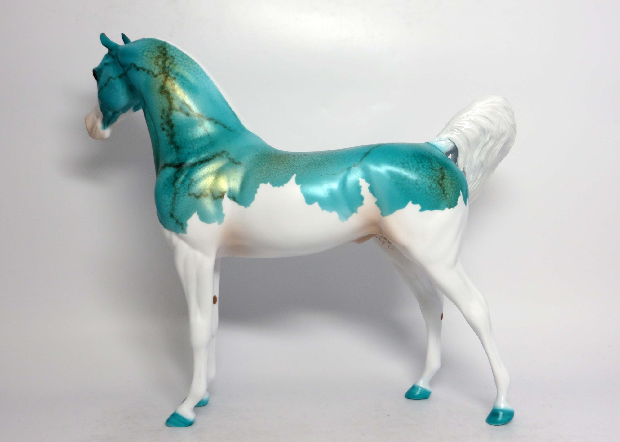 ARIZONA-LE-5 SPLASH TURQUIOSE ARABIAN EQ 2018