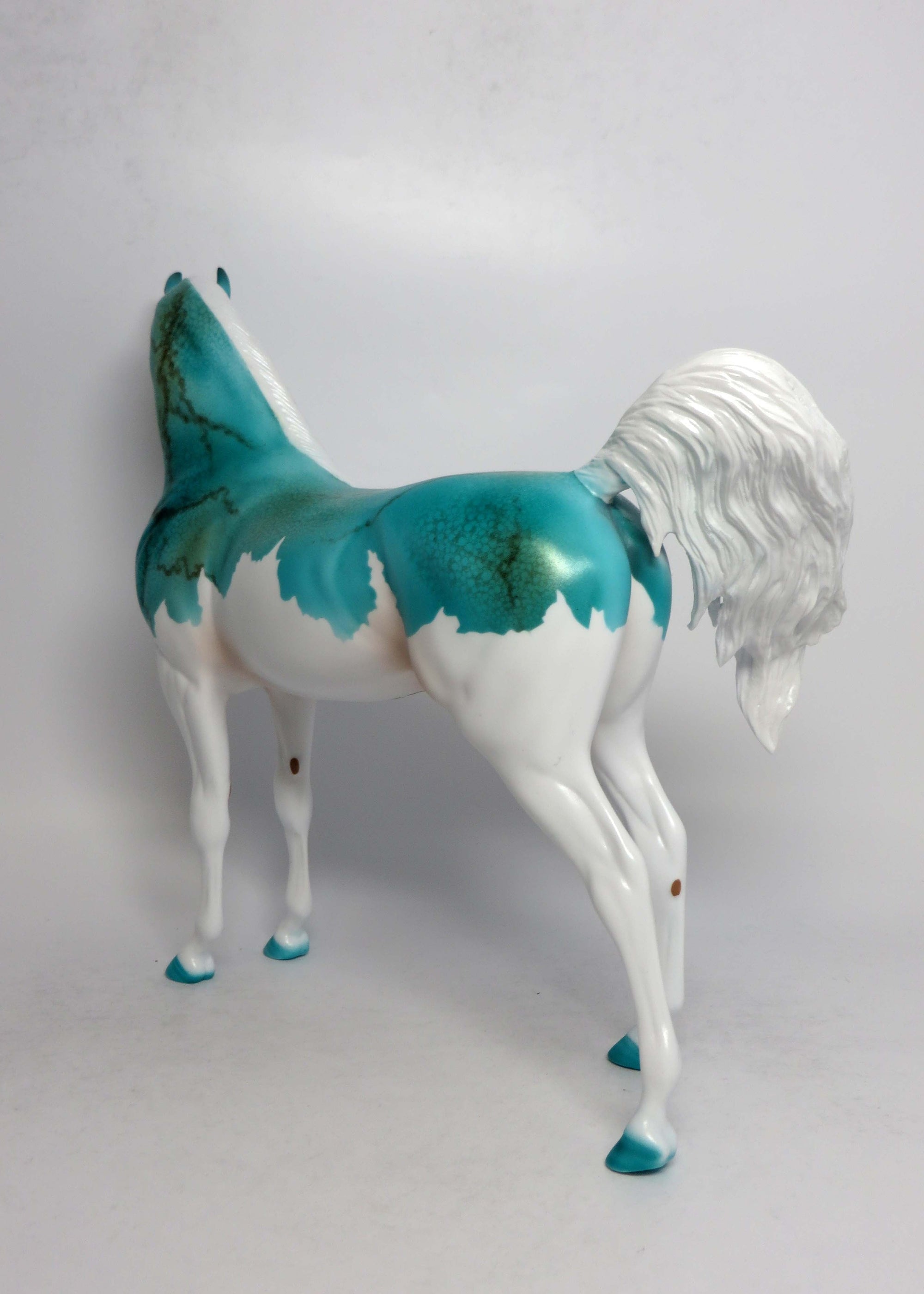 ARIZONA-LE-5 SPLASH TURQUIOSE ARABIAN EQ 2018