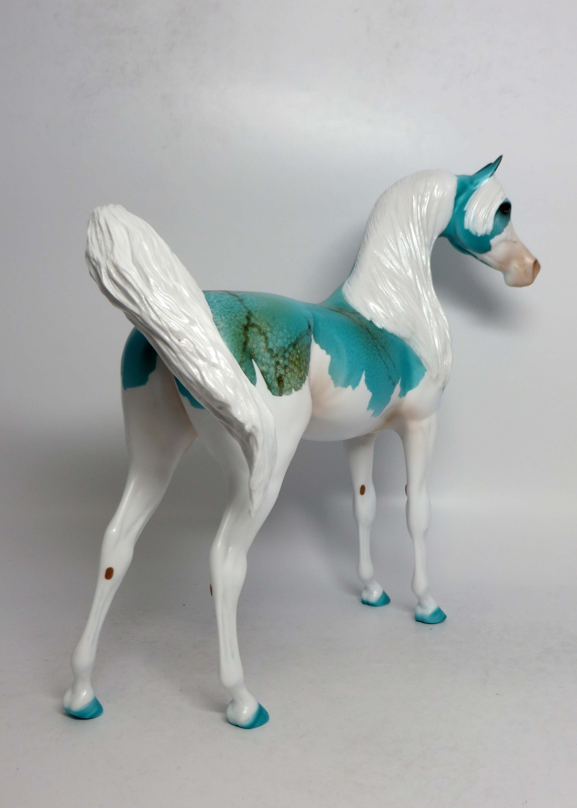 ARIZONA-LE-5 SPLASH TURQUIOSE ARABIAN EQ 2018