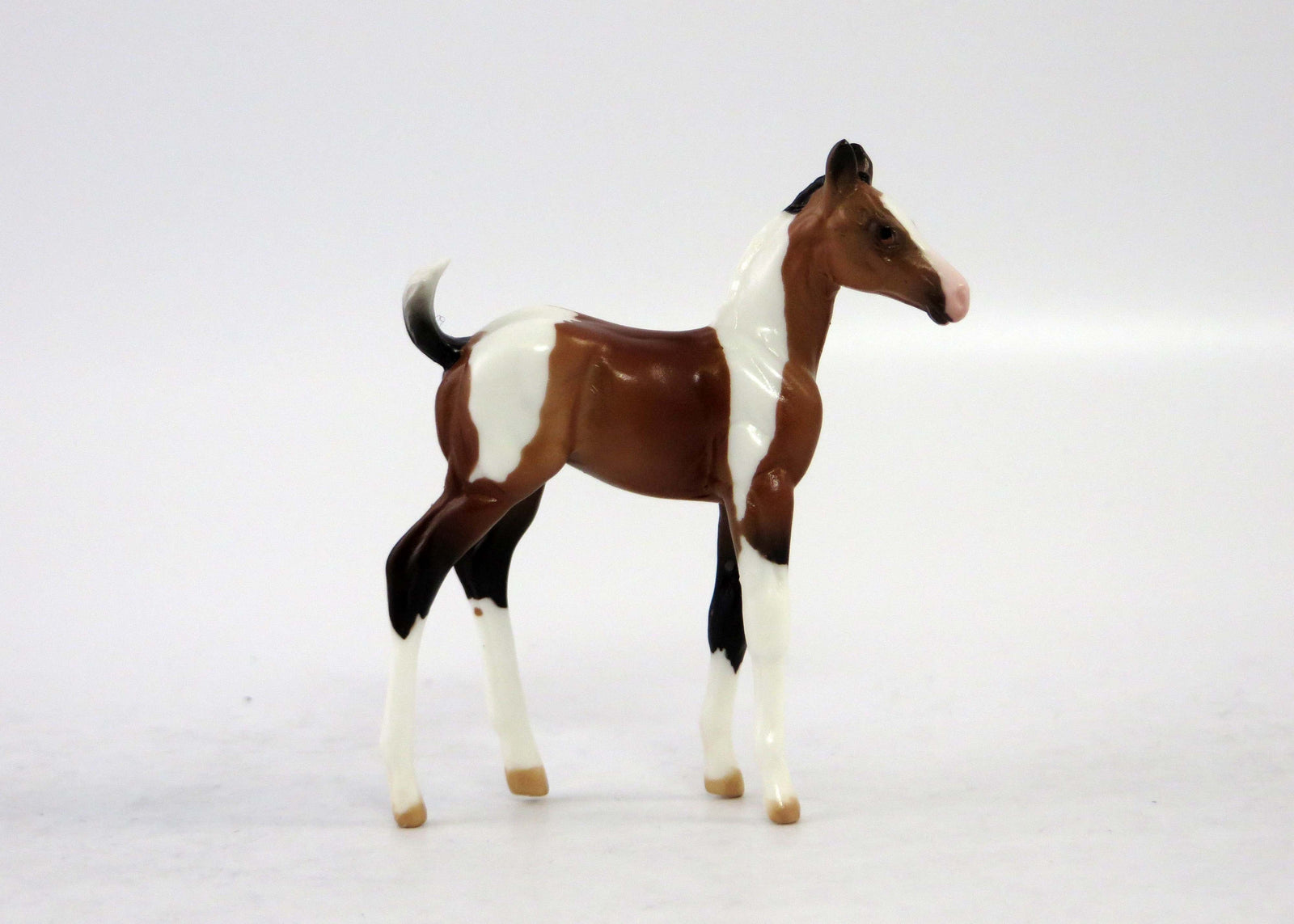 FRIDAY~LE-30 BAY PINTO CHIP FOAL EQ 2018