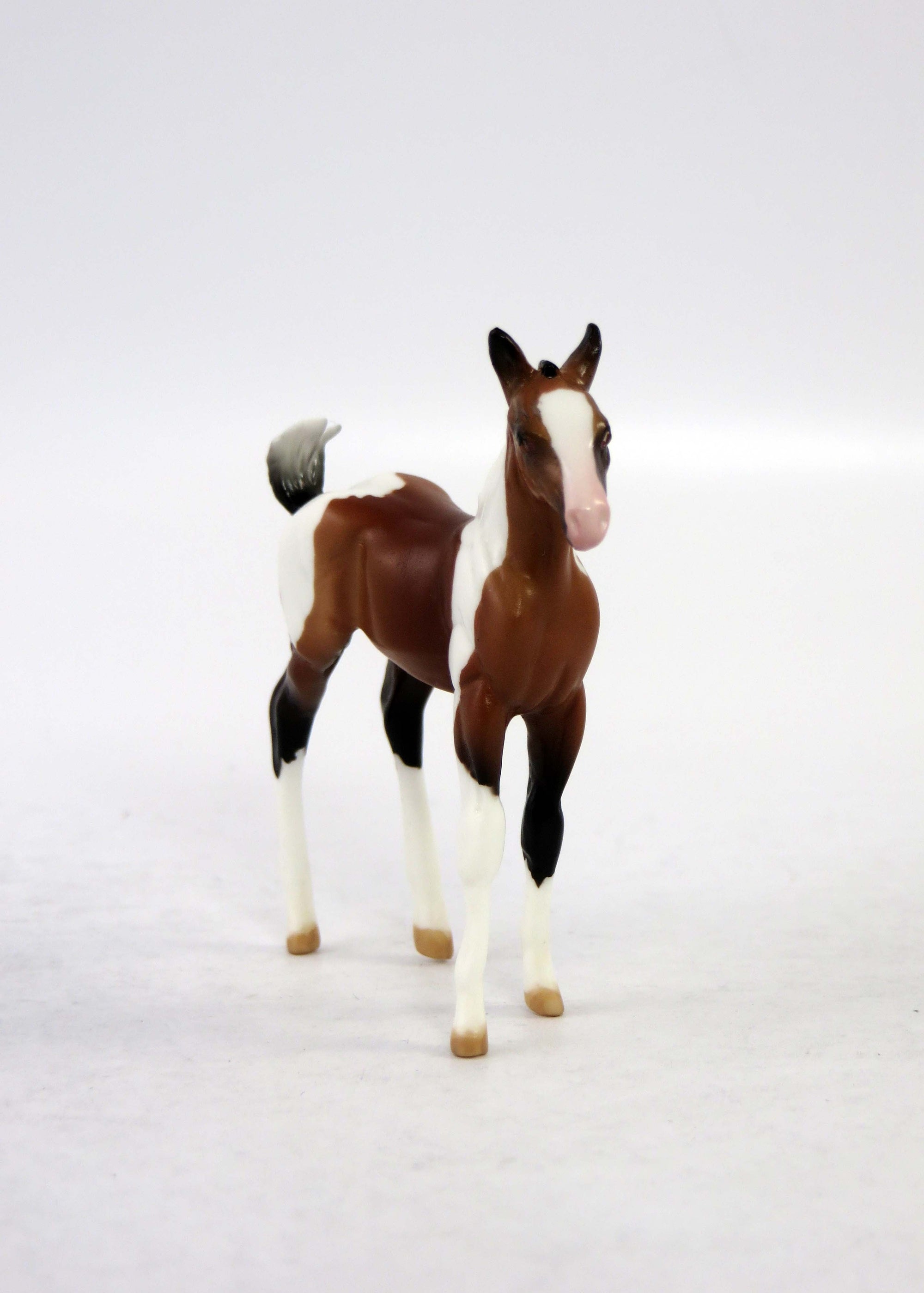 FRIDAY~LE-30 BAY PINTO CHIP FOAL EQ 2018