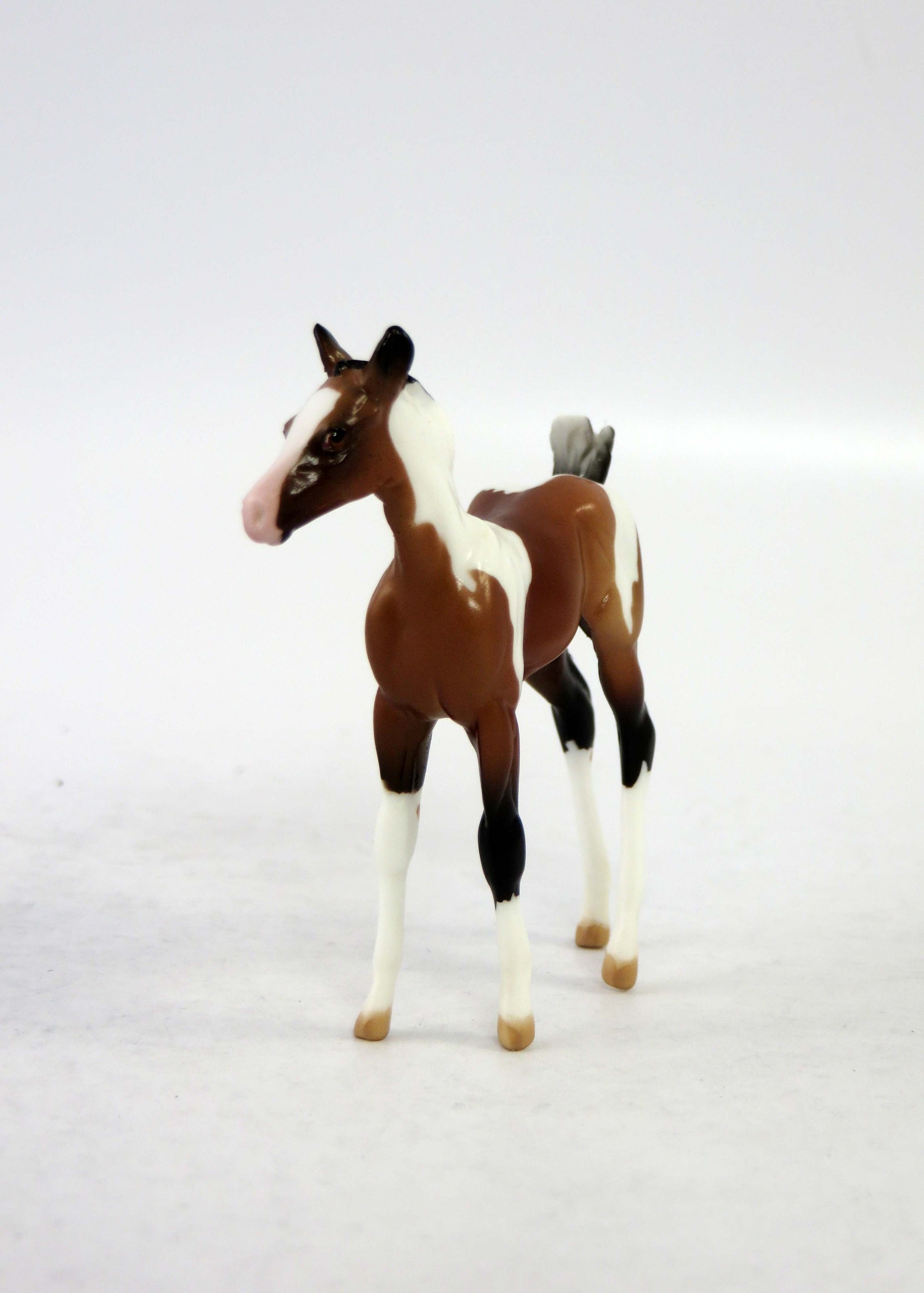 FRIDAY~LE-30 BAY PINTO CHIP FOAL EQ 2018