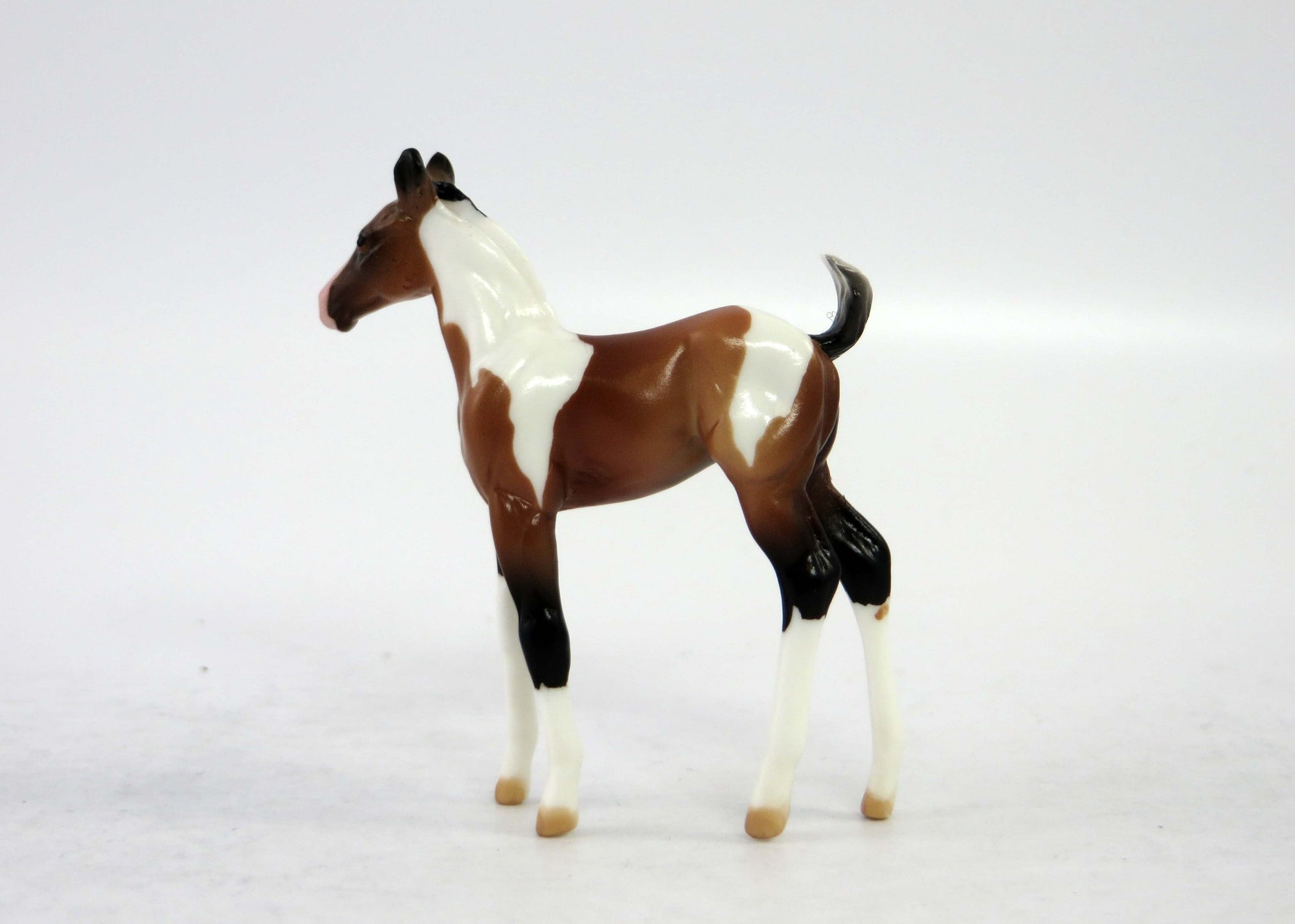 FRIDAY~LE-30 BAY PINTO CHIP FOAL EQ 2018