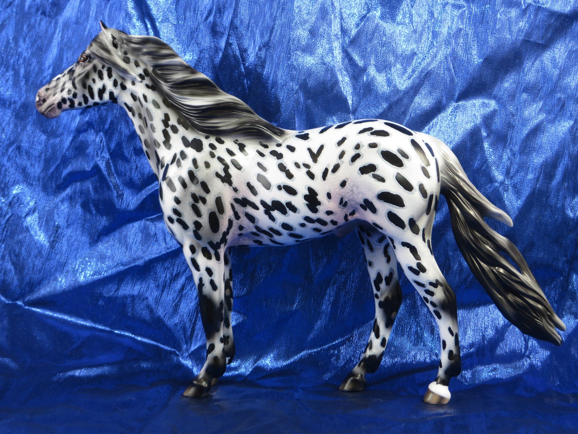 BULLS EYE-OOAK LOUD APPALOOSA SPANISH MUSTANG EQ 2018