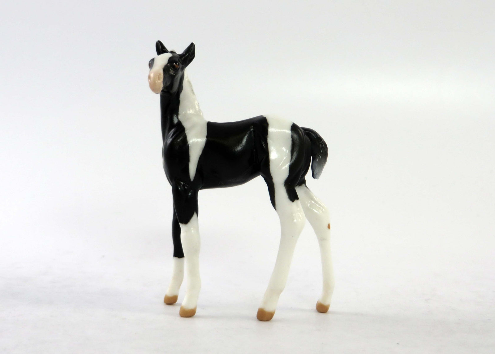 TEENY-LE-30 BLACK AND WHITE PINTO FOAL CHIP  EQ 2018