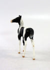 TEENY-LE-30 BLACK AND WHITE PINTO FOAL CHIP  EQ 2018