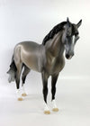 DONNINGTON-OOAK DAPPLE GREY ANDALUSIAN EQ 2018