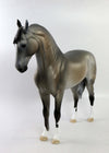 DONNINGTON-OOAK DAPPLE GREY ANDALUSIAN EQ 2018