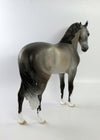 DONNINGTON-OOAK DAPPLE GREY ANDALUSIAN EQ 2018