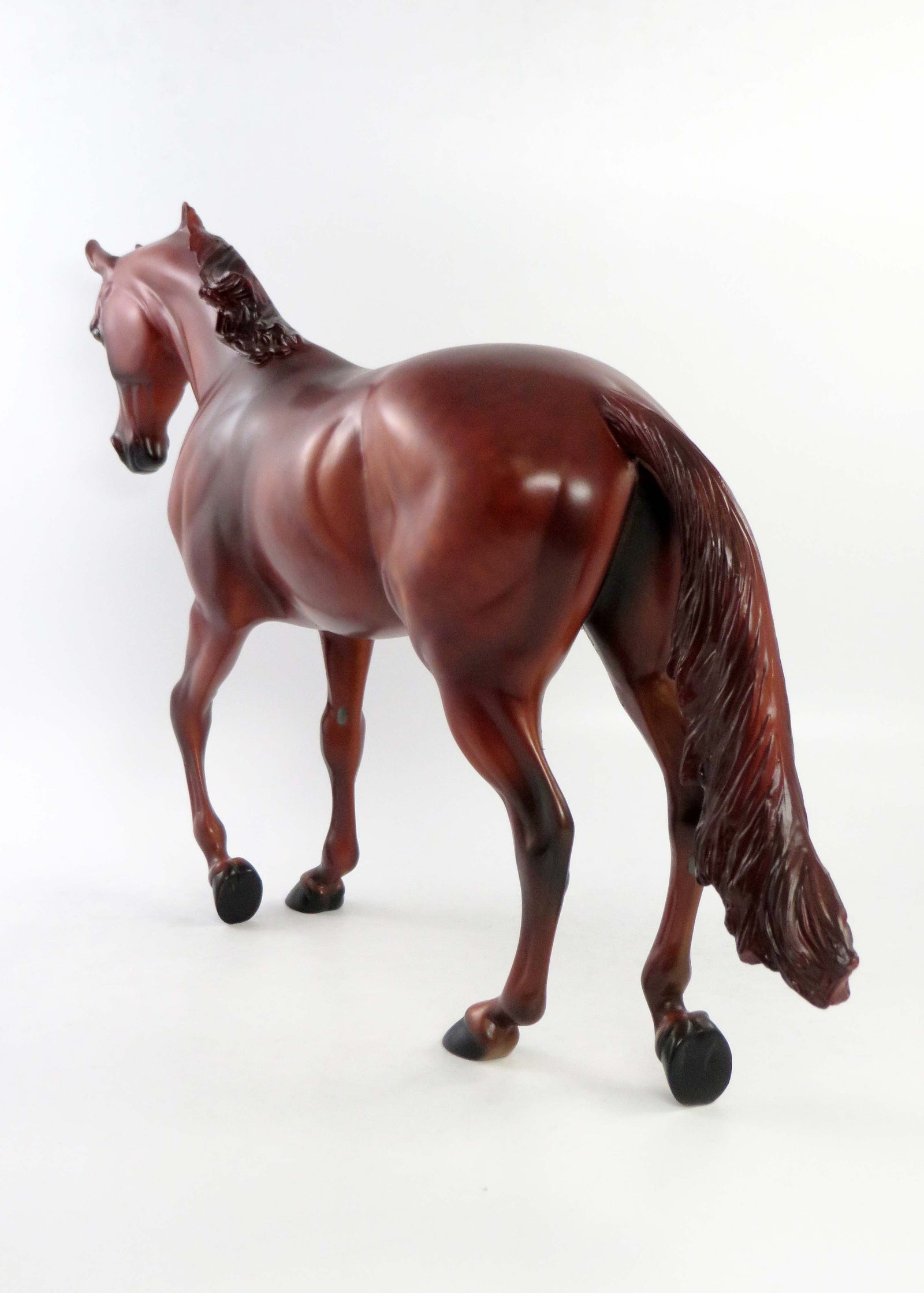 CHARLIE-LE-15 CHESTNUT THOROUGHBRED NON CUSTOM EQ 2018