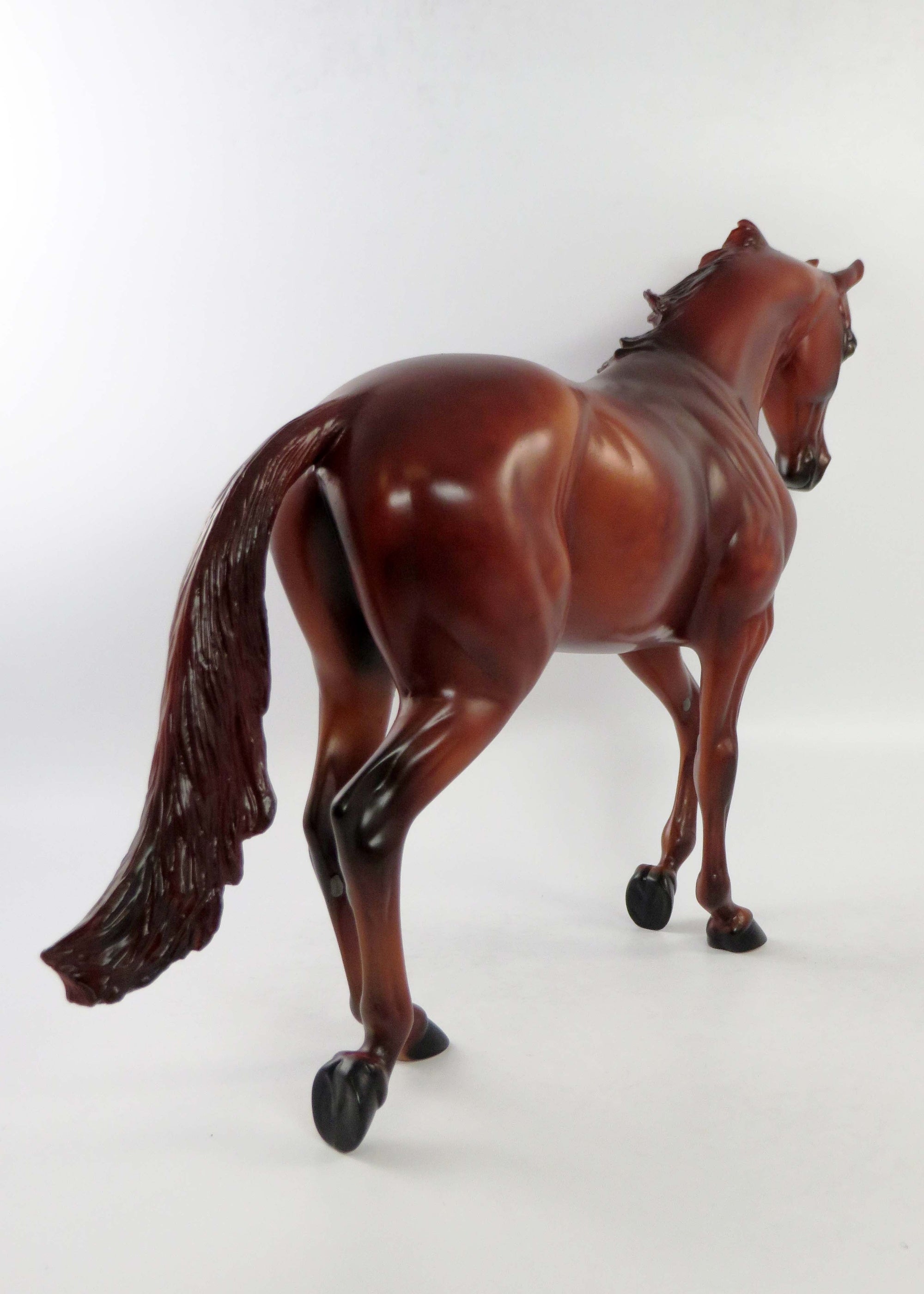 CHARLIE-LE-15 CHESTNUT THOROUGHBRED NON CUSTOM EQ 2018