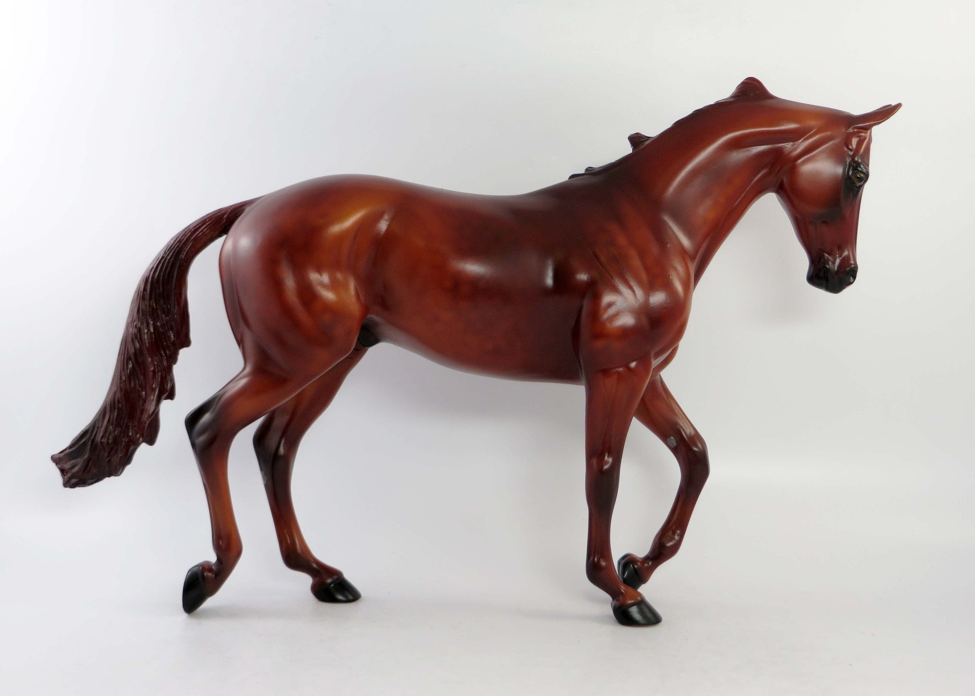 CHARLIE-LE-15 CHESTNUT THOROUGHBRED NON CUSTOM EQ 2018