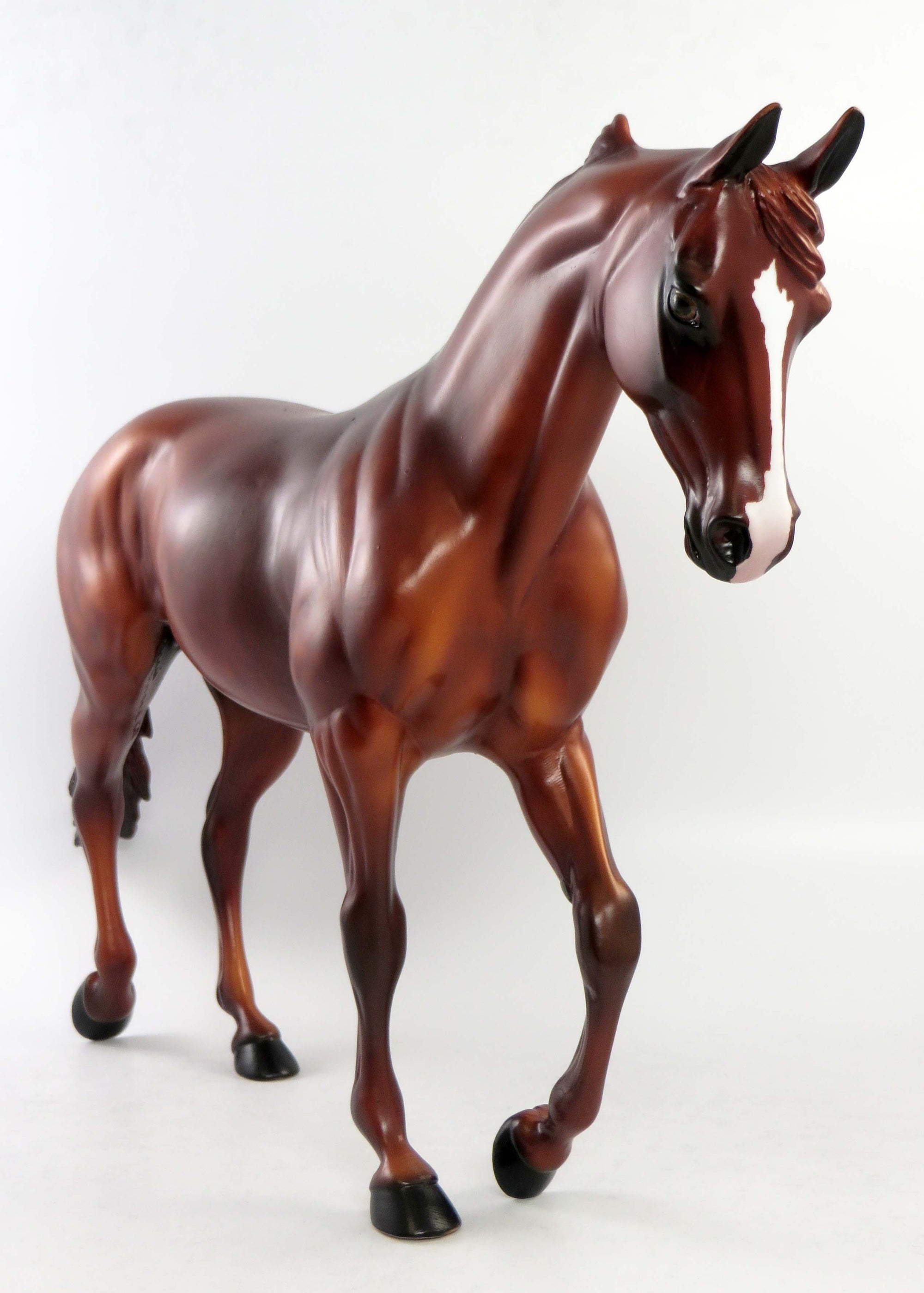 CHARLIE-LE-15 CHESTNUT THOROUGHBRED NON CUSTOM EQ 2018