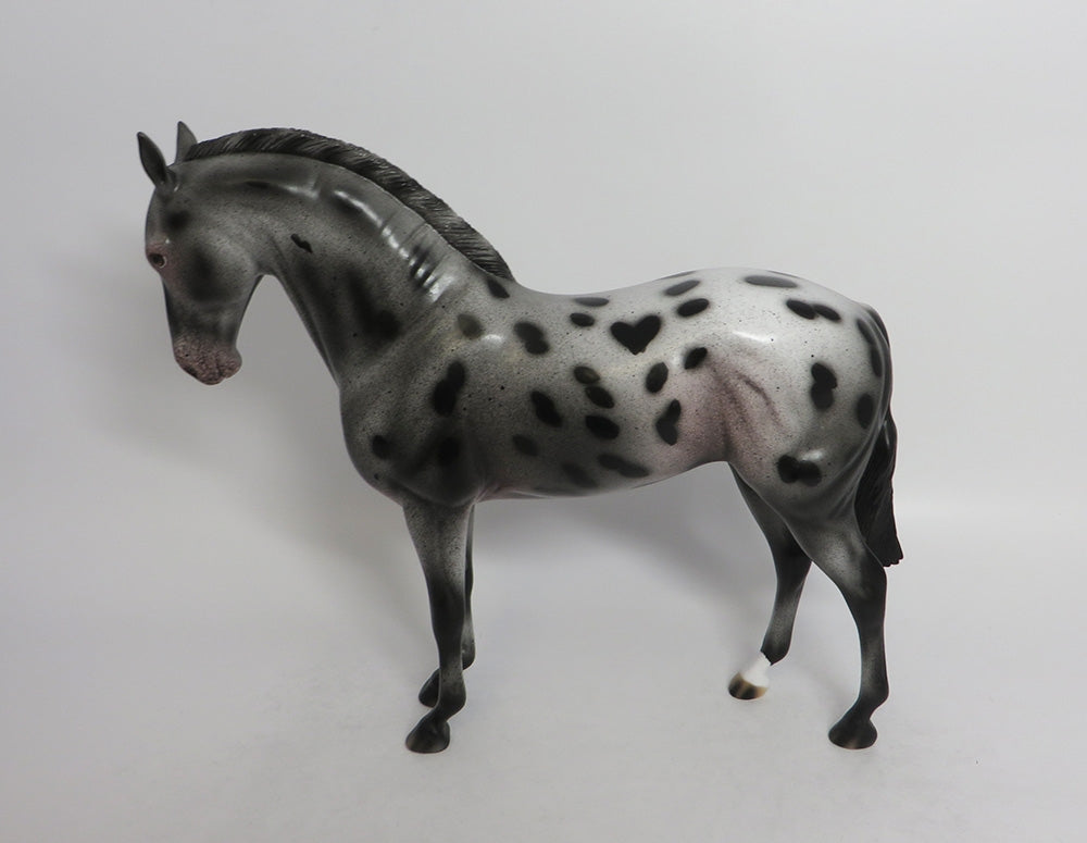 ESTELLA-OOAK APPALOOSA MARE ANDALUSIAN EQ 2018