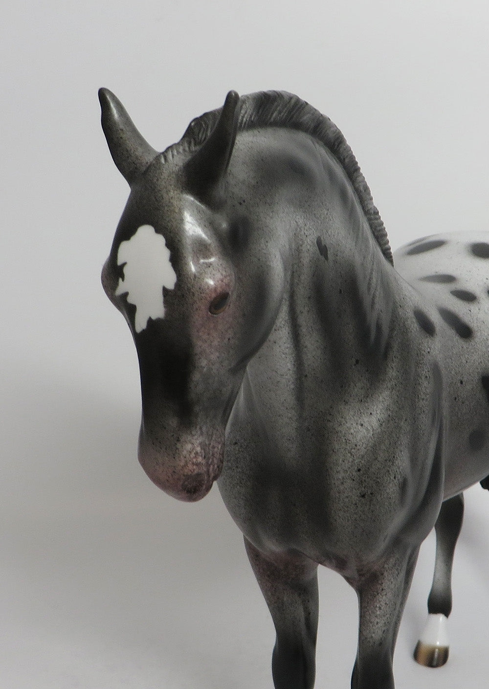 ESTELLA-OOAK APPALOOSA MARE ANDALUSIAN EQ 2018