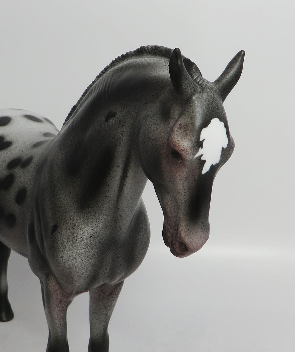 ESTELLA-OOAK APPALOOSA MARE ANDALUSIAN EQ 2018