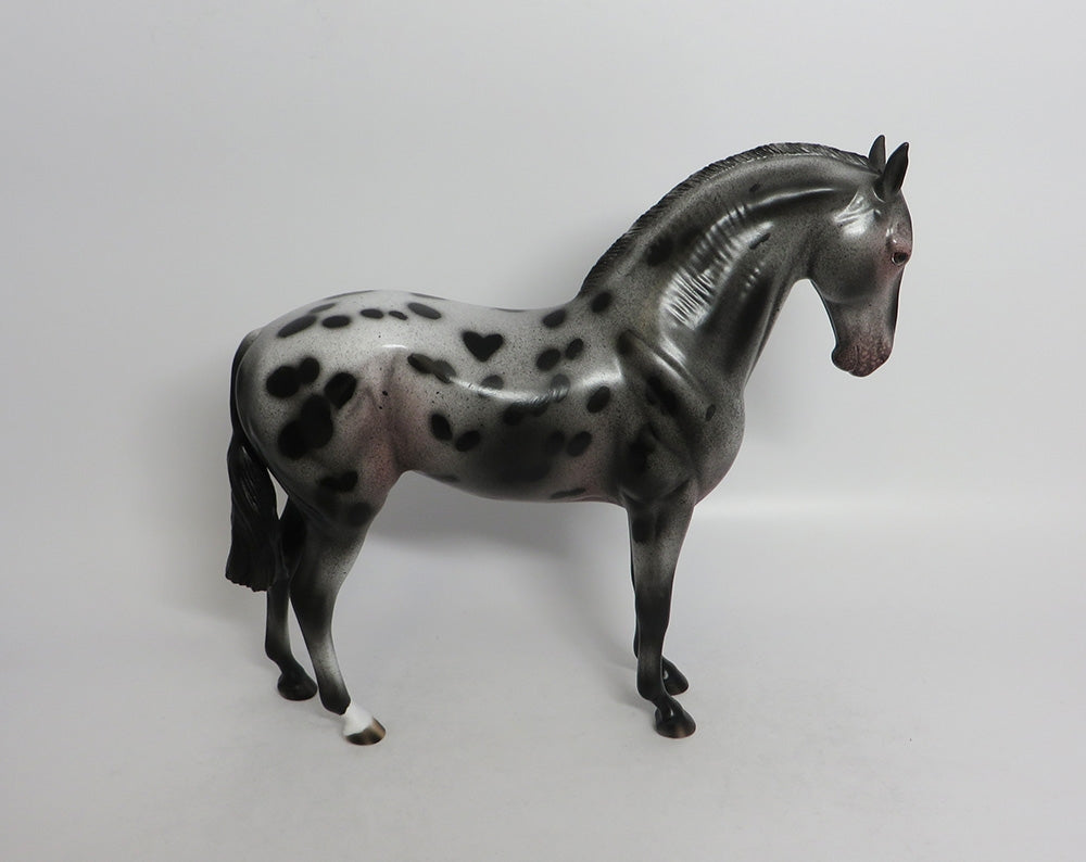ESTELLA-OOAK APPALOOSA MARE ANDALUSIAN EQ 2018