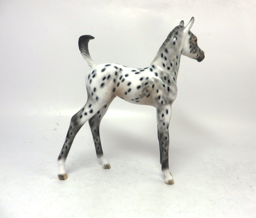 CHAMP--- OOAK ARABIAN FOAL BLACK APPALOOSA BY DAWN QUICK 2-21-19
