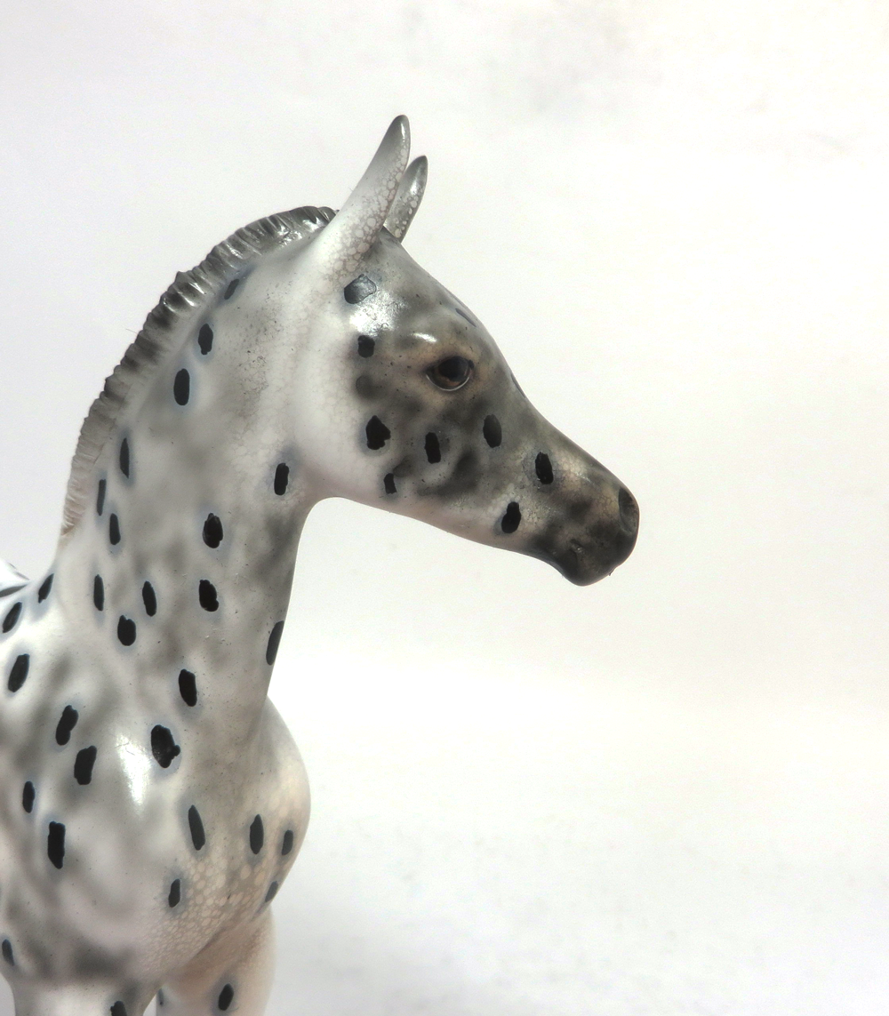 CHAMP--- OOAK ARABIAN FOAL BLACK APPALOOSA BY DAWN QUICK 2-21-19
