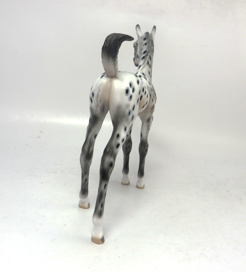 CHAMP--- OOAK ARABIAN FOAL BLACK APPALOOSA BY DAWN QUICK 2-21-19