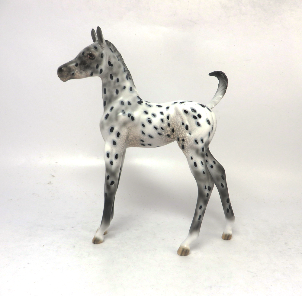 CHAMP--- OOAK ARABIAN FOAL BLACK APPALOOSA BY DAWN QUICK 2-21-19