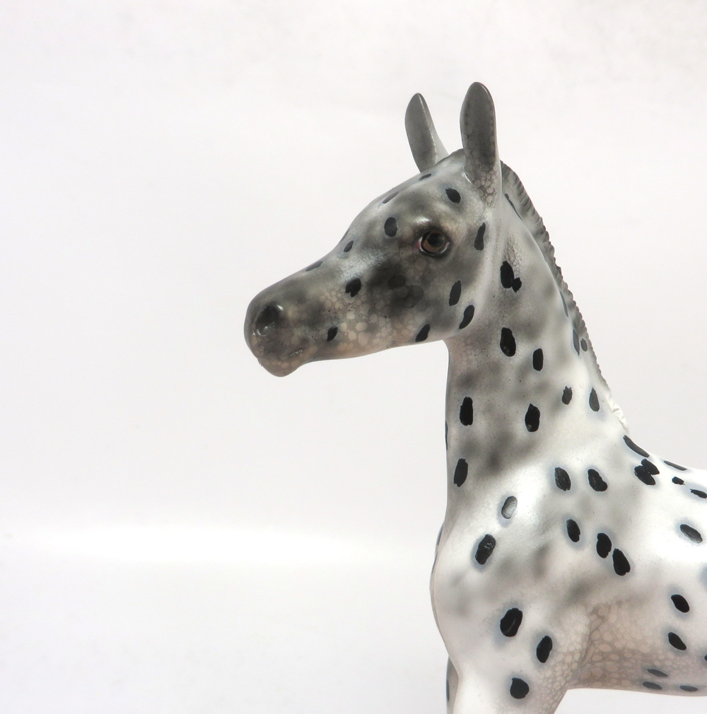 CHAMP--- OOAK ARABIAN FOAL BLACK APPALOOSA BY DAWN QUICK 2-21-19