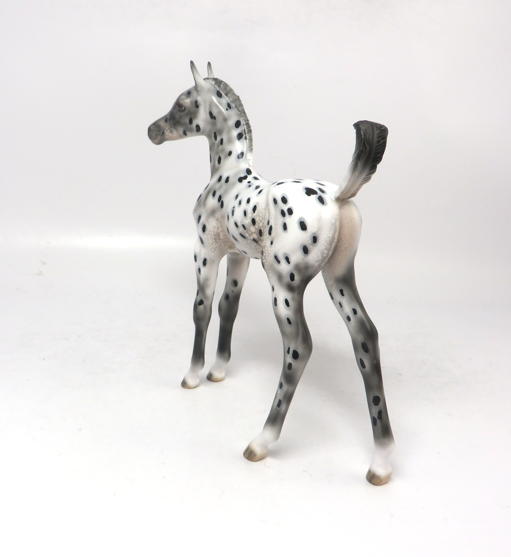 CHAMP--- OOAK ARABIAN FOAL BLACK APPALOOSA BY DAWN QUICK 2-21-19