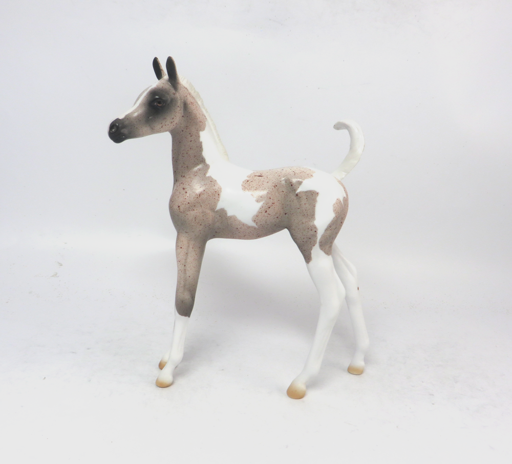 MARIA SCHNEIDER- OOAK ROAN PINTO ARABIAN FOAL  BY AMANDA HOSTETER MW19