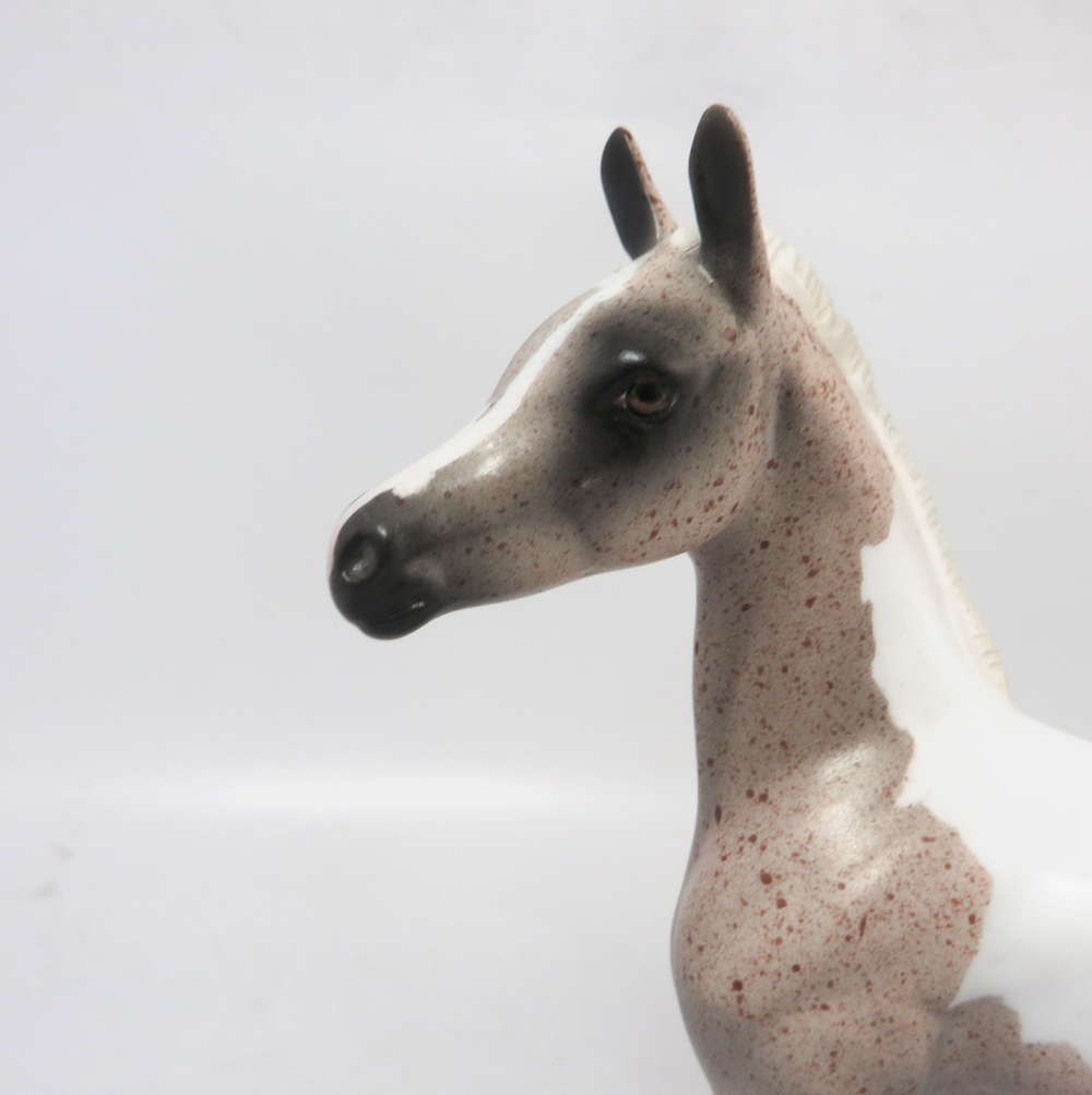 MARIA SCHNEIDER- OOAK ROAN PINTO ARABIAN FOAL  BY AMANDA HOSTETER MW19