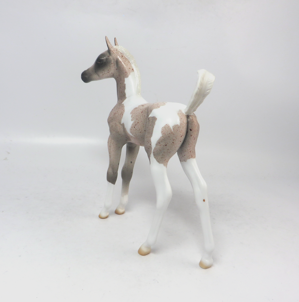 MARIA SCHNEIDER- OOAK ROAN PINTO ARABIAN FOAL  BY AMANDA HOSTETER MW19