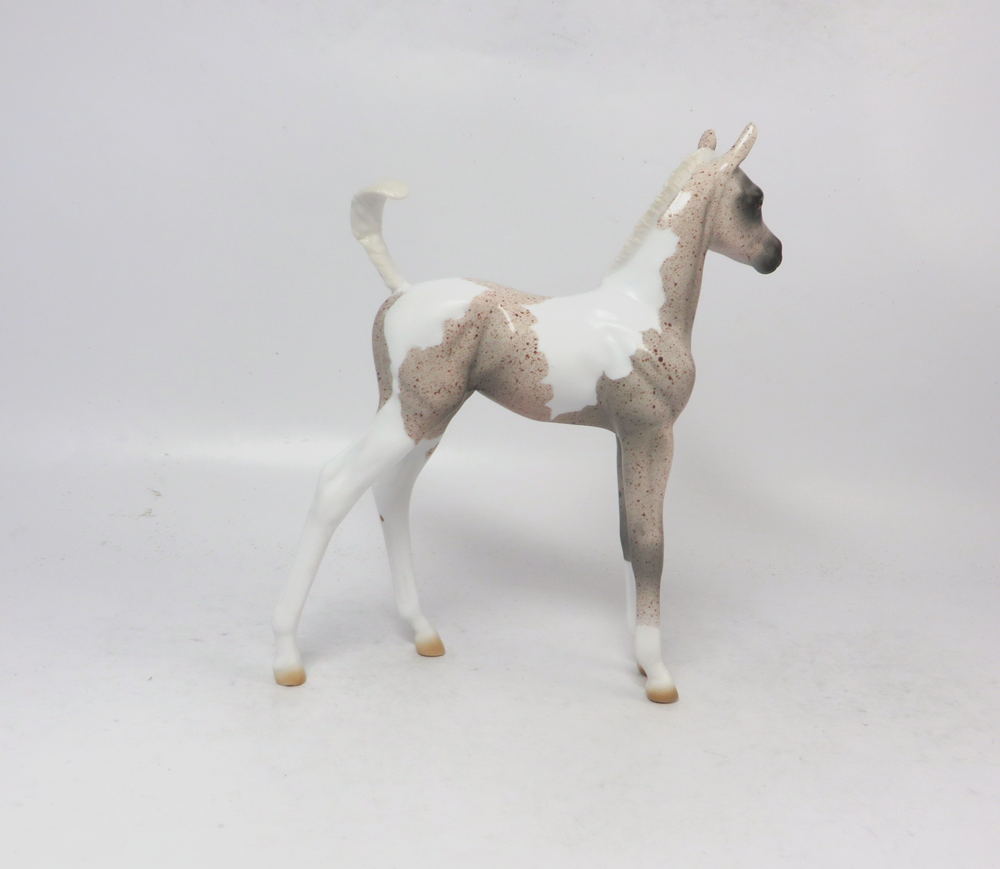 MARIA SCHNEIDER- OOAK ROAN PINTO ARABIAN FOAL  BY AMANDA HOSTETER MW19