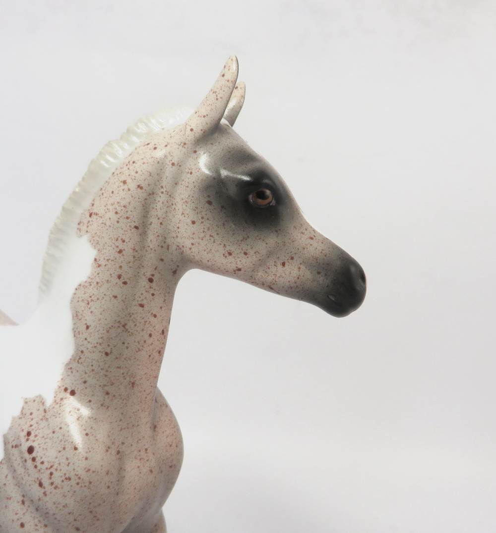 MARIA SCHNEIDER- OOAK ROAN PINTO ARABIAN FOAL  BY AMANDA HOSTETER MW19
