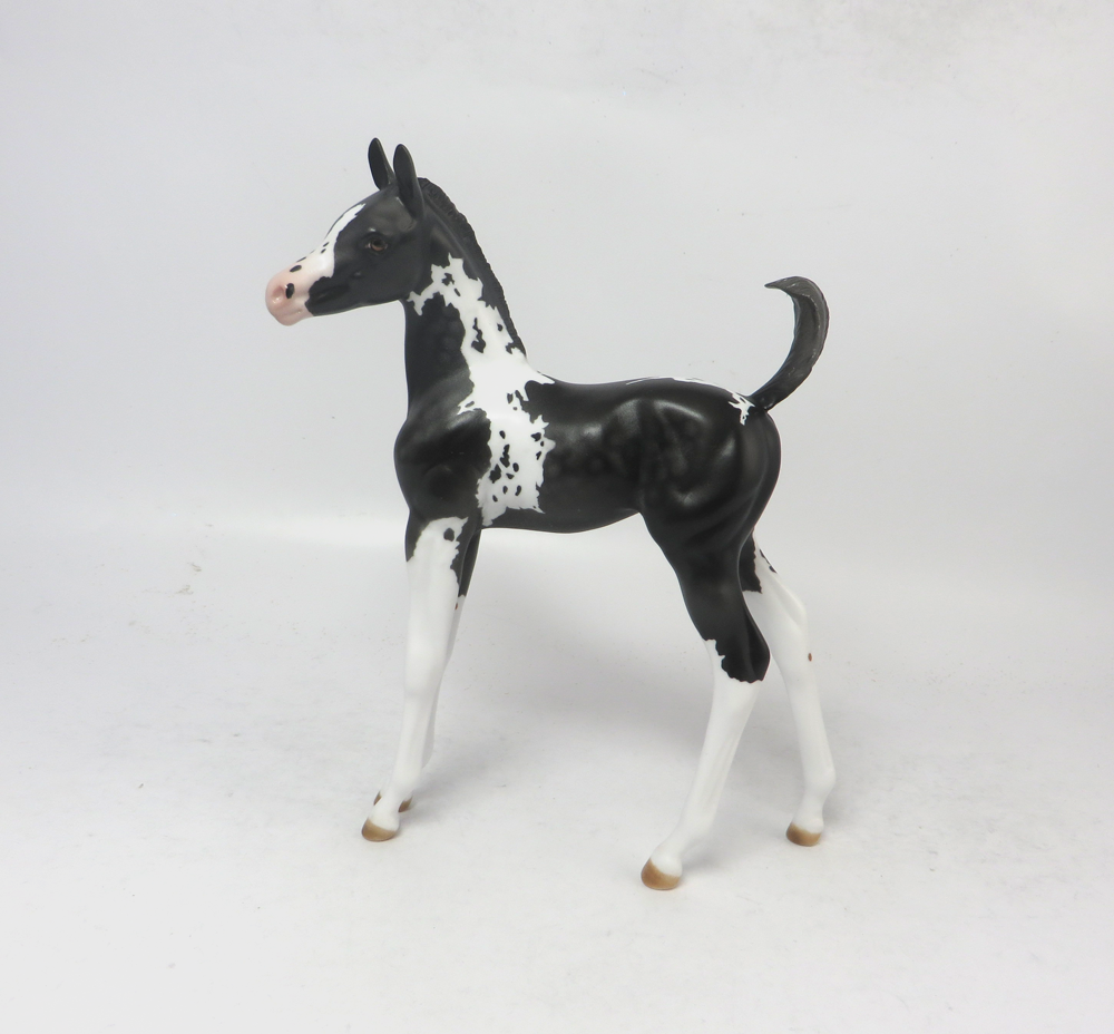 A. J. LANGER- OOAK BLACK DAPPLED ARABIAN FOAL BY AMANDA HOSTETER EA19