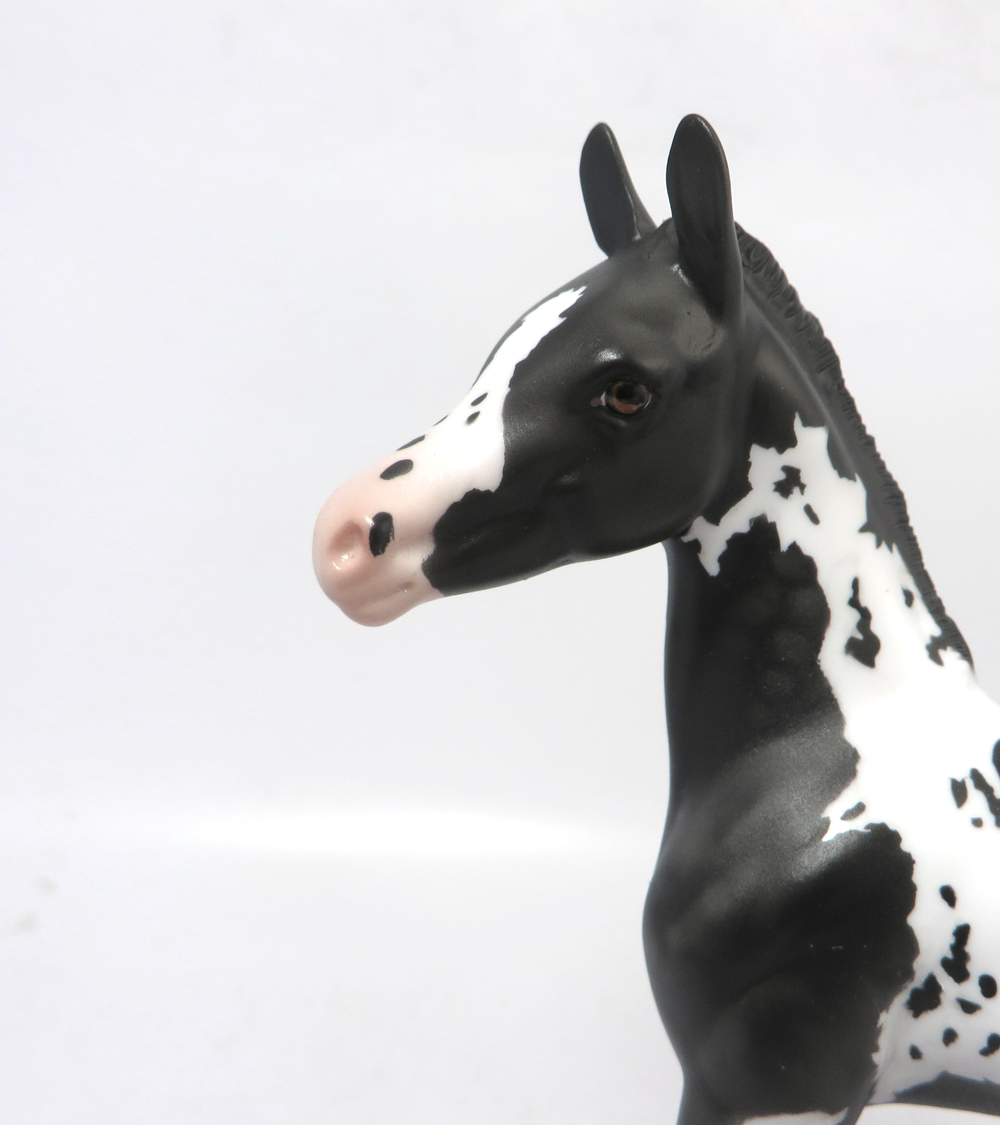 A. J. LANGER- OOAK BLACK DAPPLED ARABIAN FOAL BY AMANDA HOSTETER EA19