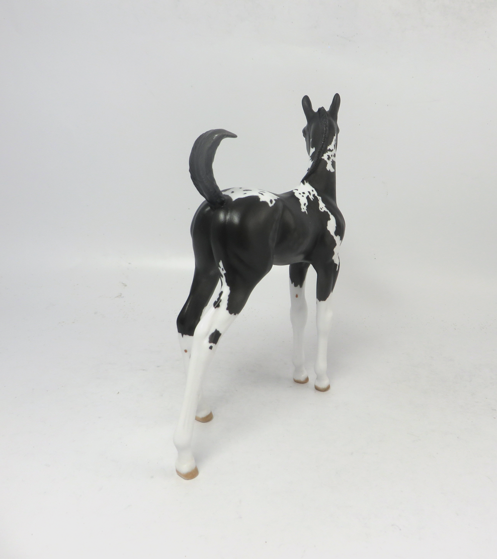 A. J. LANGER- OOAK BLACK DAPPLED ARABIAN FOAL BY AMANDA HOSTETER EA19
