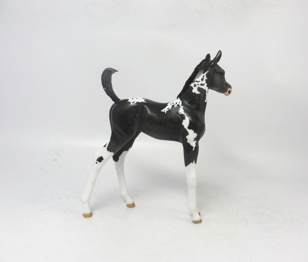A. J. LANGER- OOAK BLACK DAPPLED ARABIAN FOAL BY AMANDA HOSTETER EA19