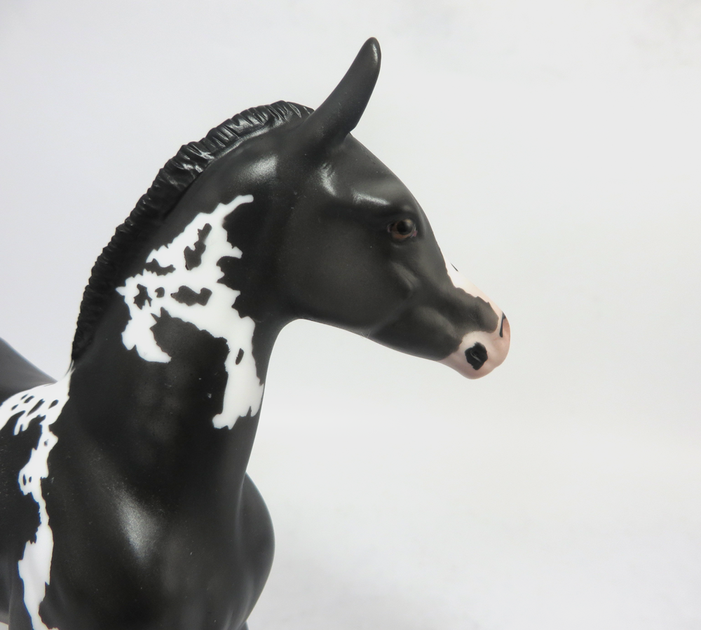 A. J. LANGER- OOAK BLACK DAPPLED ARABIAN FOAL BY AMANDA HOSTETER EA19