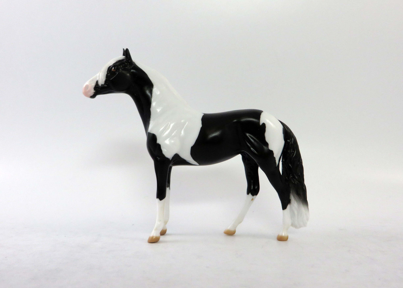 MIDGE-LE-30 BLACK AND WHITE PINTO ANDALUSIAN CHIP EQ 2018