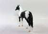 MIDGE-LE-30 BLACK AND WHITE PINTO ANDALUSIAN CHIP EQ 2018