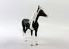 MIDGE-LE-30 BLACK AND WHITE PINTO ANDALUSIAN CHIP EQ 2018