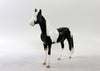 MIDGE-LE-30 BLACK AND WHITE PINTO ANDALUSIAN CHIP EQ 2018