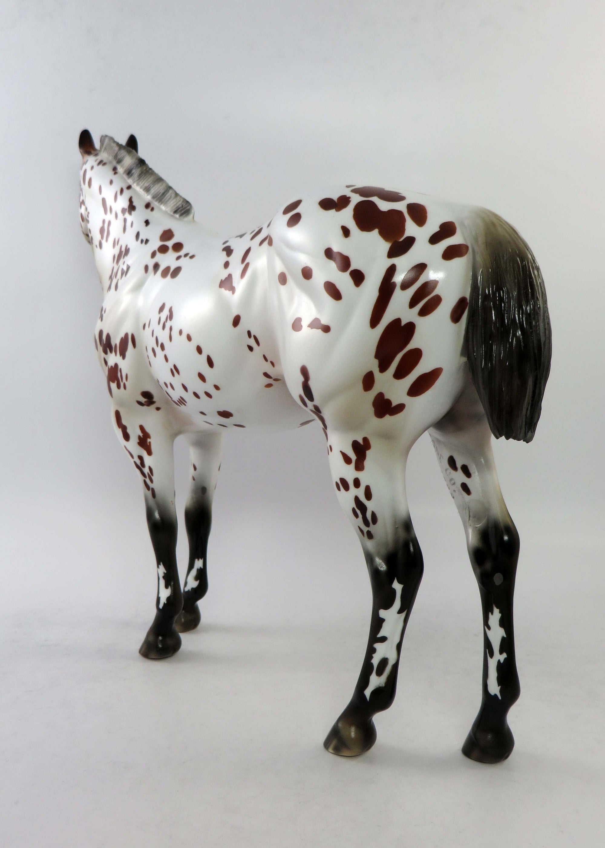 SEEKER&#39;S LEDGAND-LE-15-RED LEOPARD APPALOOSA ISH MODEL HORSE BY JULIE KEIM EQ 2018