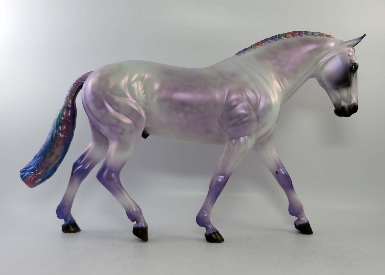 MIRAGE-OOAK DAPPLE GREY RAINBOW IRISH DRAUGHT EQ 2018
