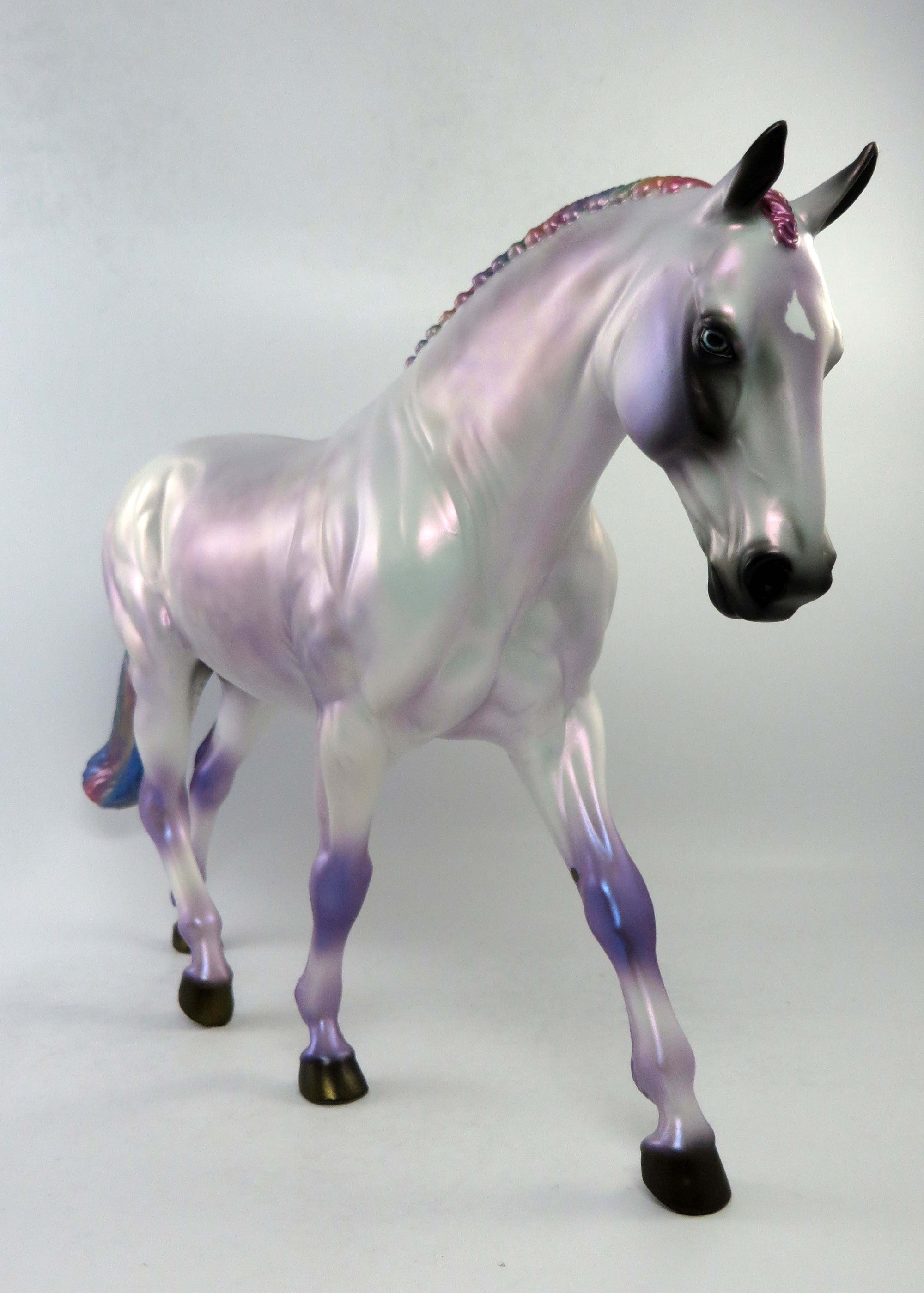 MIRAGE-OOAK DAPPLE GREY RAINBOW IRISH DRAUGHT EQ 2018
