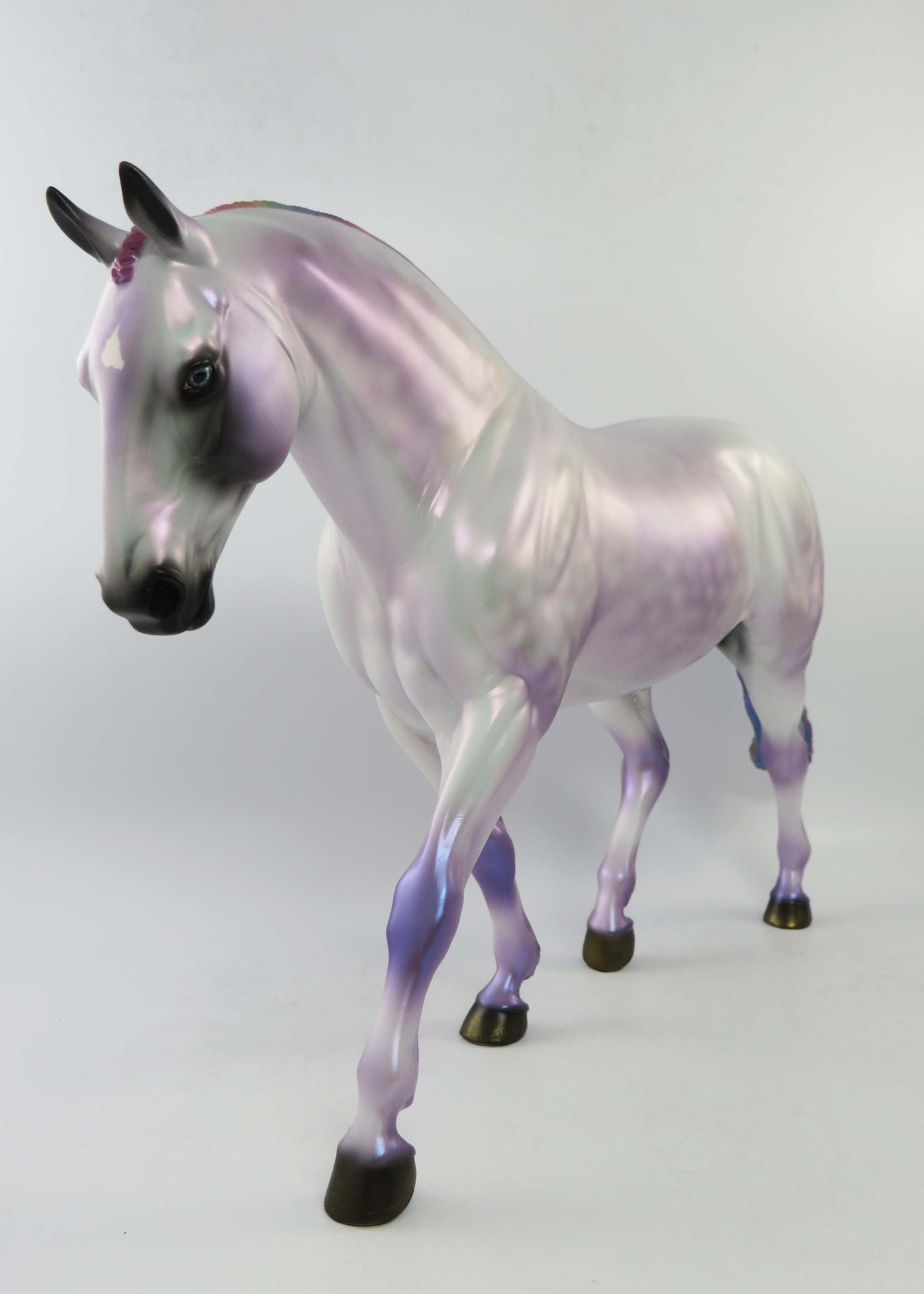 MIRAGE-OOAK DAPPLE GREY RAINBOW IRISH DRAUGHT EQ 2018