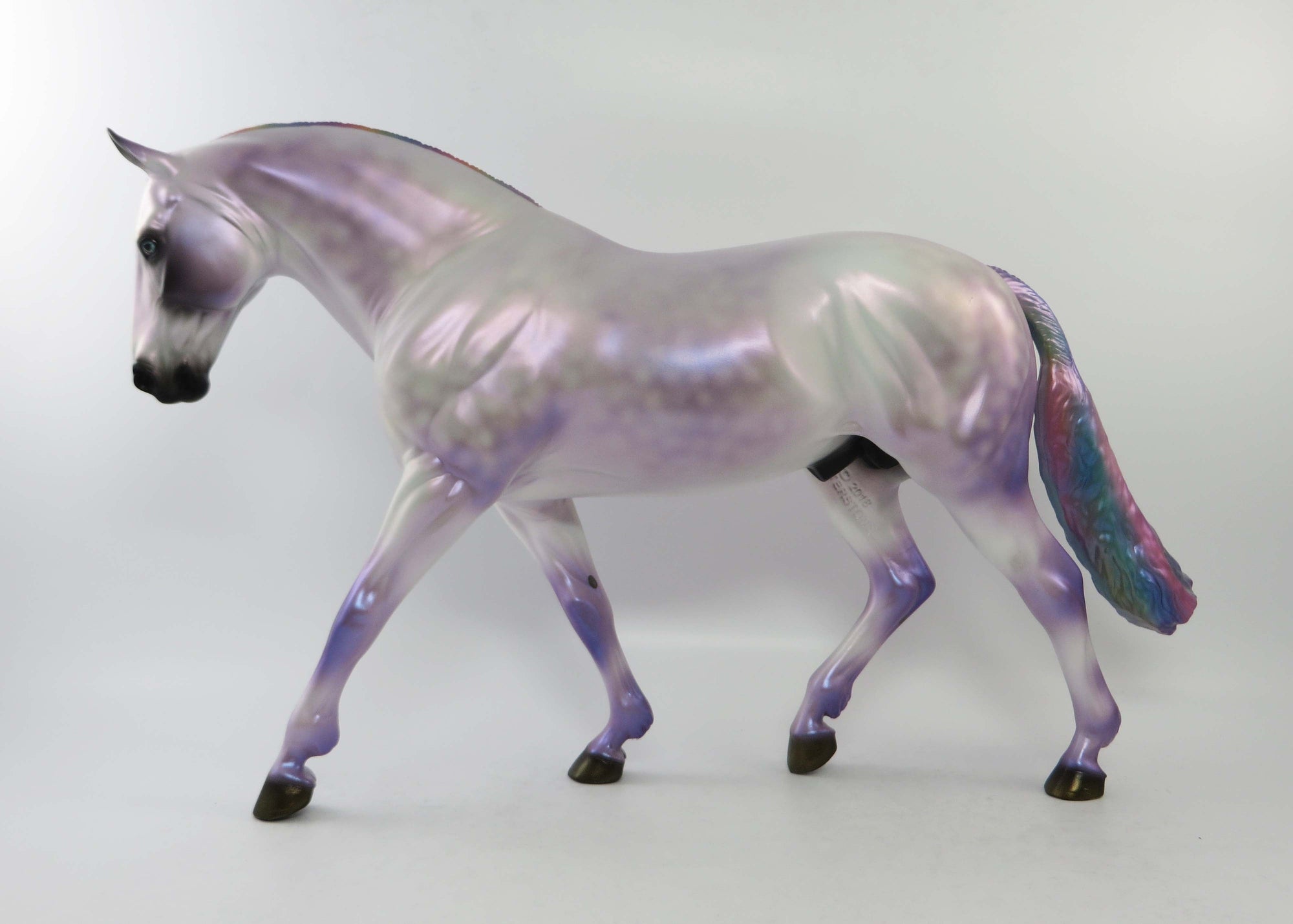 MIRAGE-OOAK DAPPLE GREY RAINBOW IRISH DRAUGHT EQ 2018