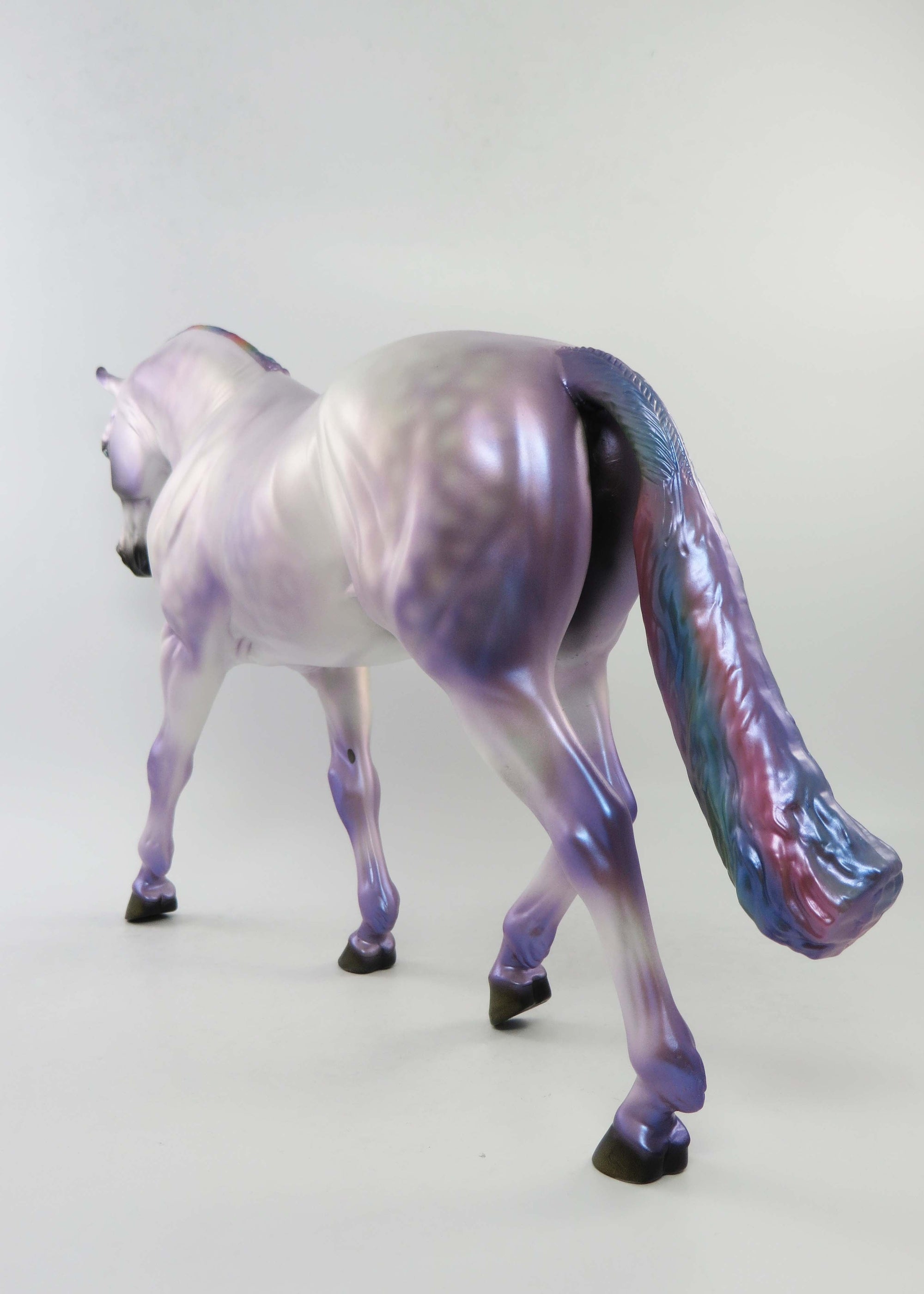 MIRAGE-OOAK DAPPLE GREY RAINBOW IRISH DRAUGHT EQ 2018